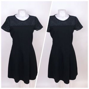 J. Crew little black dress